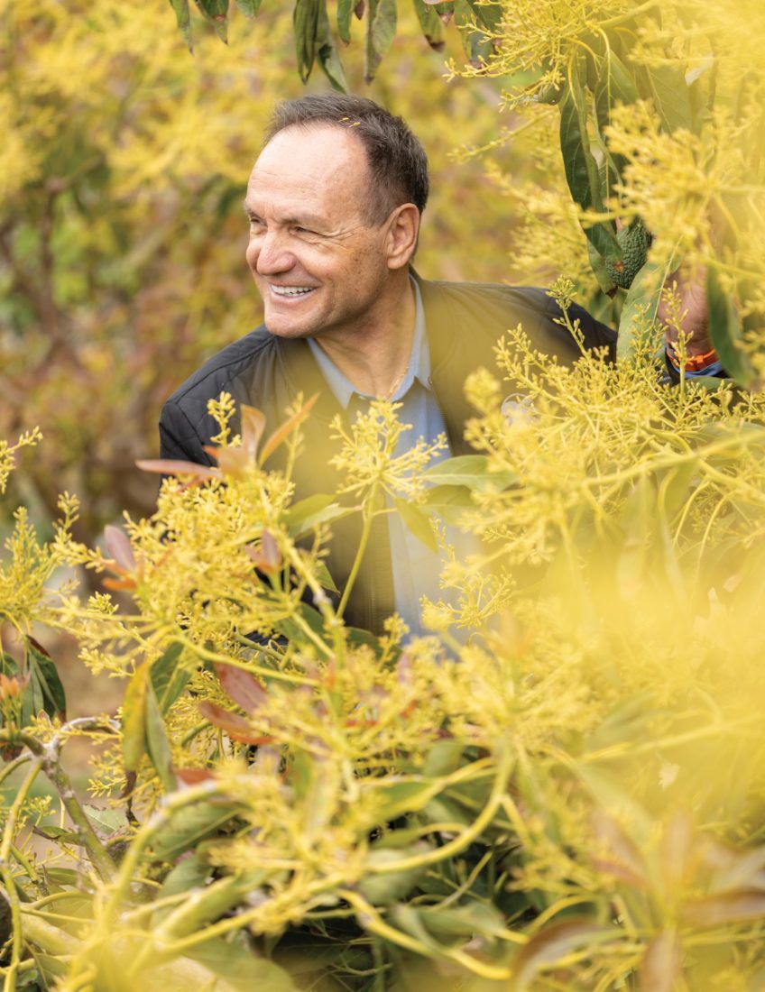 A man smiling as he stands among tall yellow flowering plants in bright sunlight.